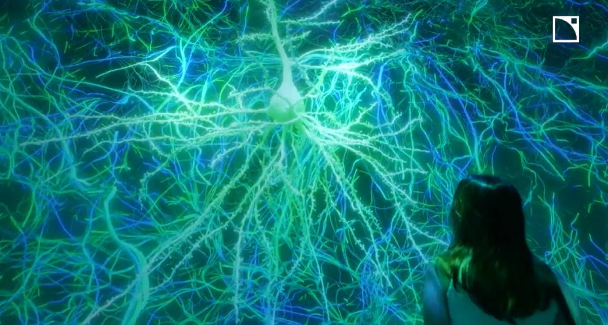 ARTECHOUSE – Life of a Neuron featured image